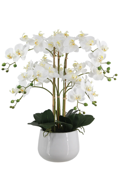 Künstliche Orchidee - Dan, 66 cm, Kunstblume von aplanta, inkl. Dekotopf, in Weiß, für drinnen