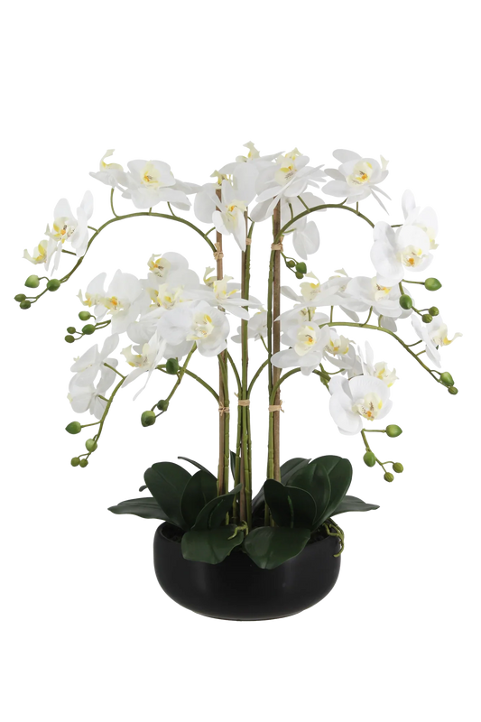 Künstliche Orchidee - Bo | 65 cm