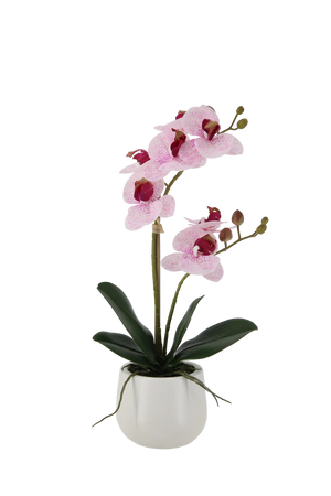 Künstliche Orchidee - Tian | 45 cm