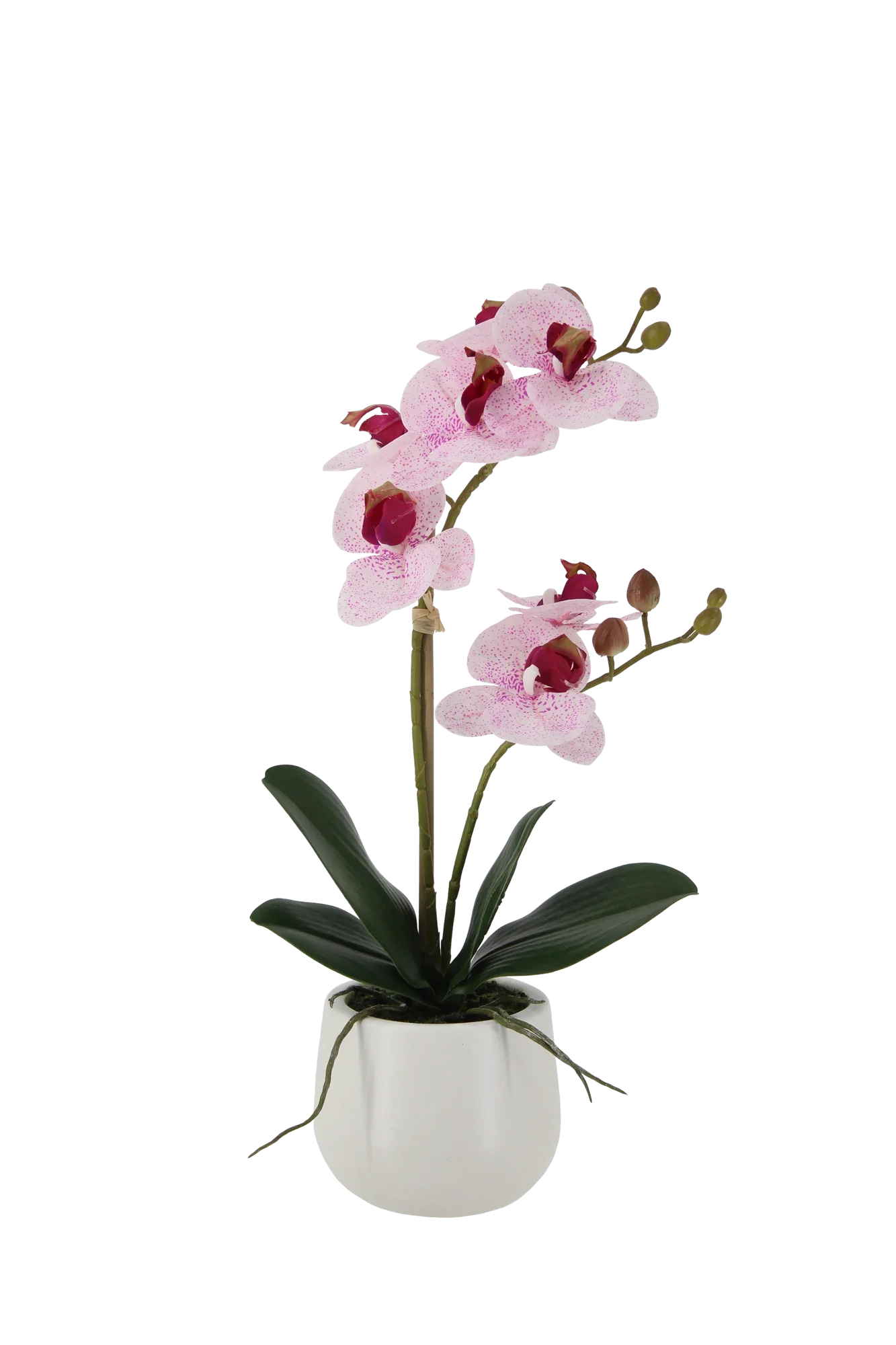 Künstliche Orchidee - Tian | 45 cm