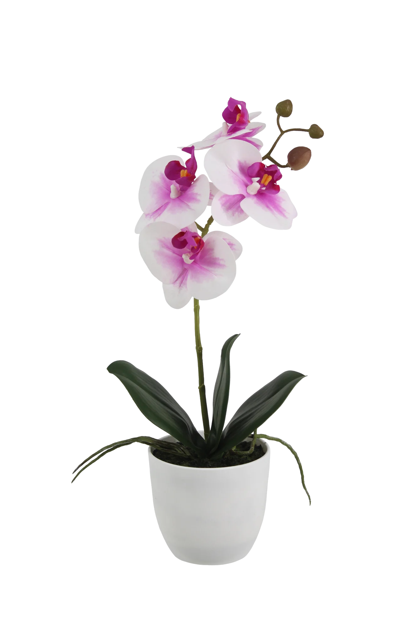 Künstliche Orchidee - Dan | 36 cm
