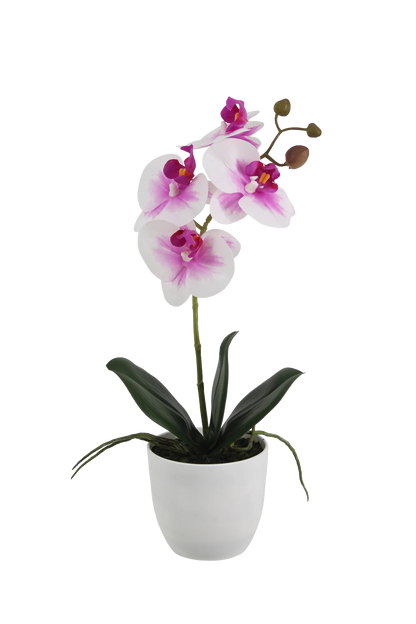 Künstliche Orchidee - Dan, 35 cm, Kunstblume von aplanta, inkl. Dekotopf, Real Touch, in Pink, für drinnen