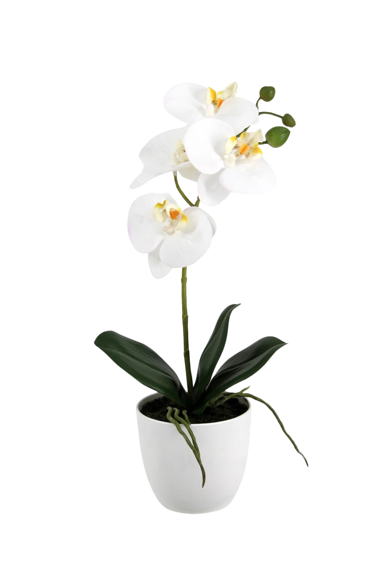 Künstliche Orchidee - Han | 36 cm