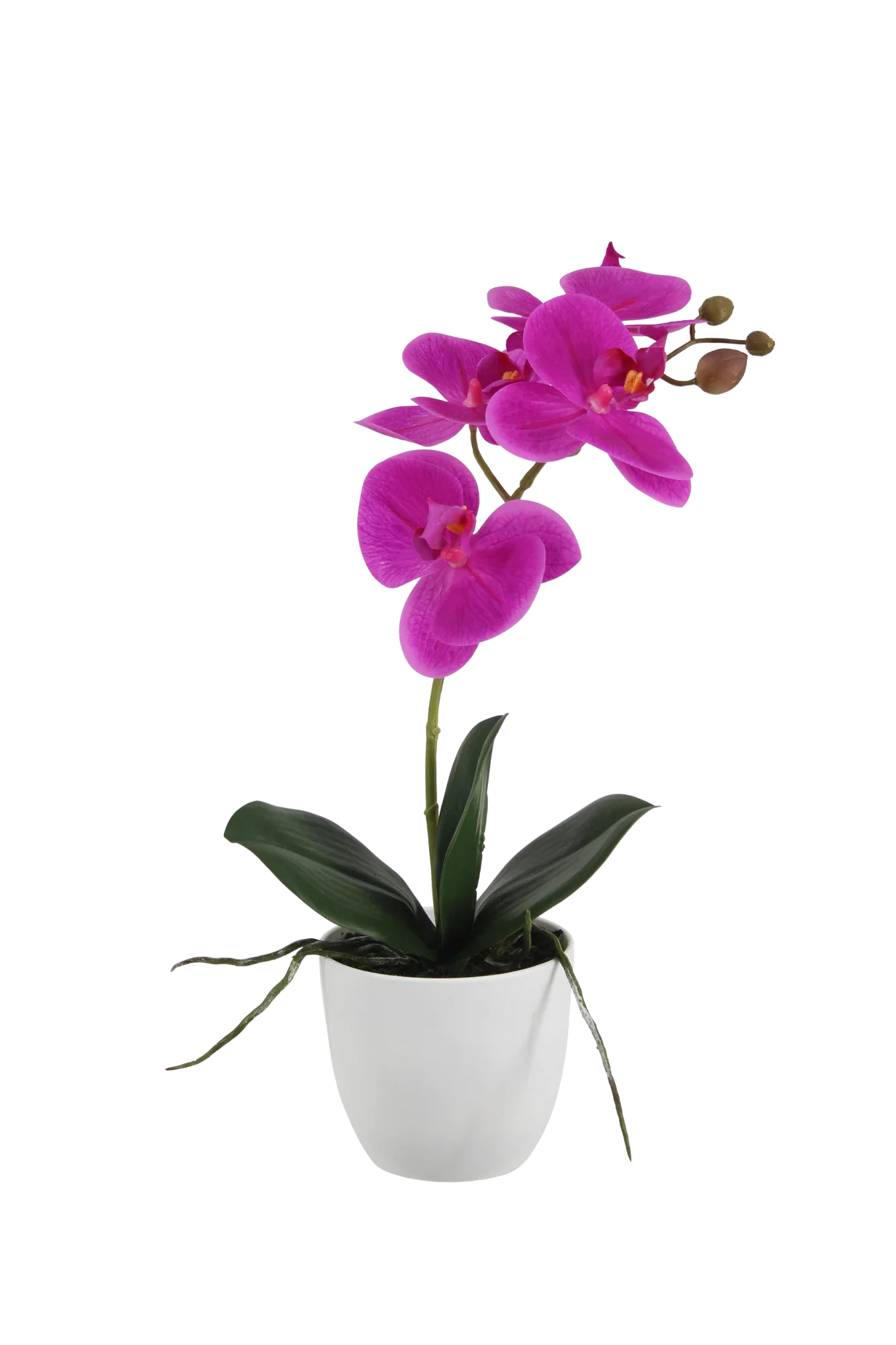 Künstliche Orchidee - Juan | 36 cm