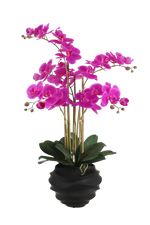 Künstliche Orchidee - Li | 67 cm