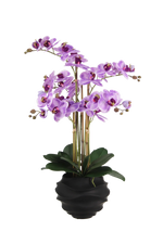 Künstliche Orchidee - Lien, 66 cm, Kunstblume von aplanta, inkl. Dekotopf, in Lila, für drinnen