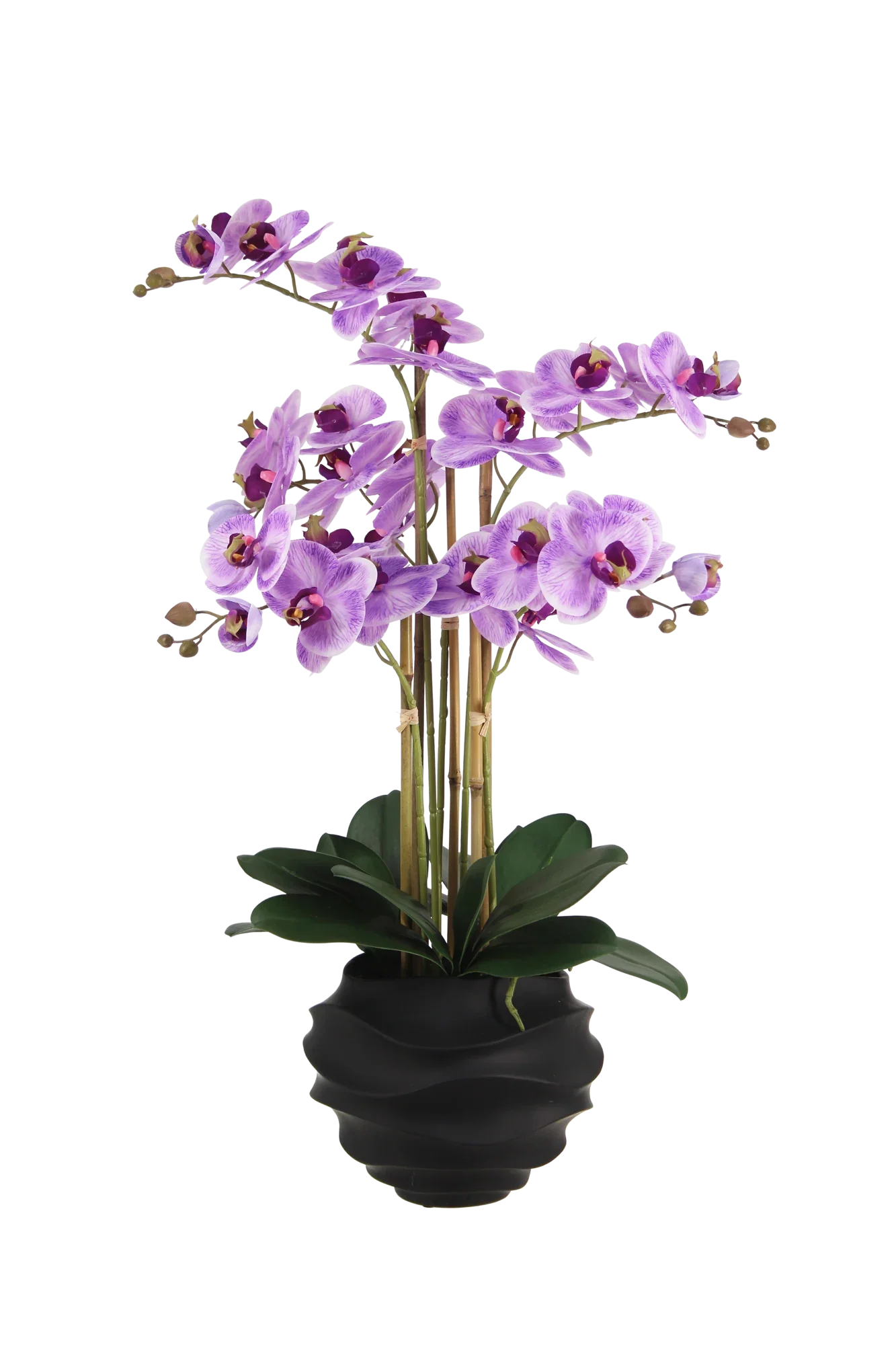 Künstliche Orchidee - Lien | 67 cm