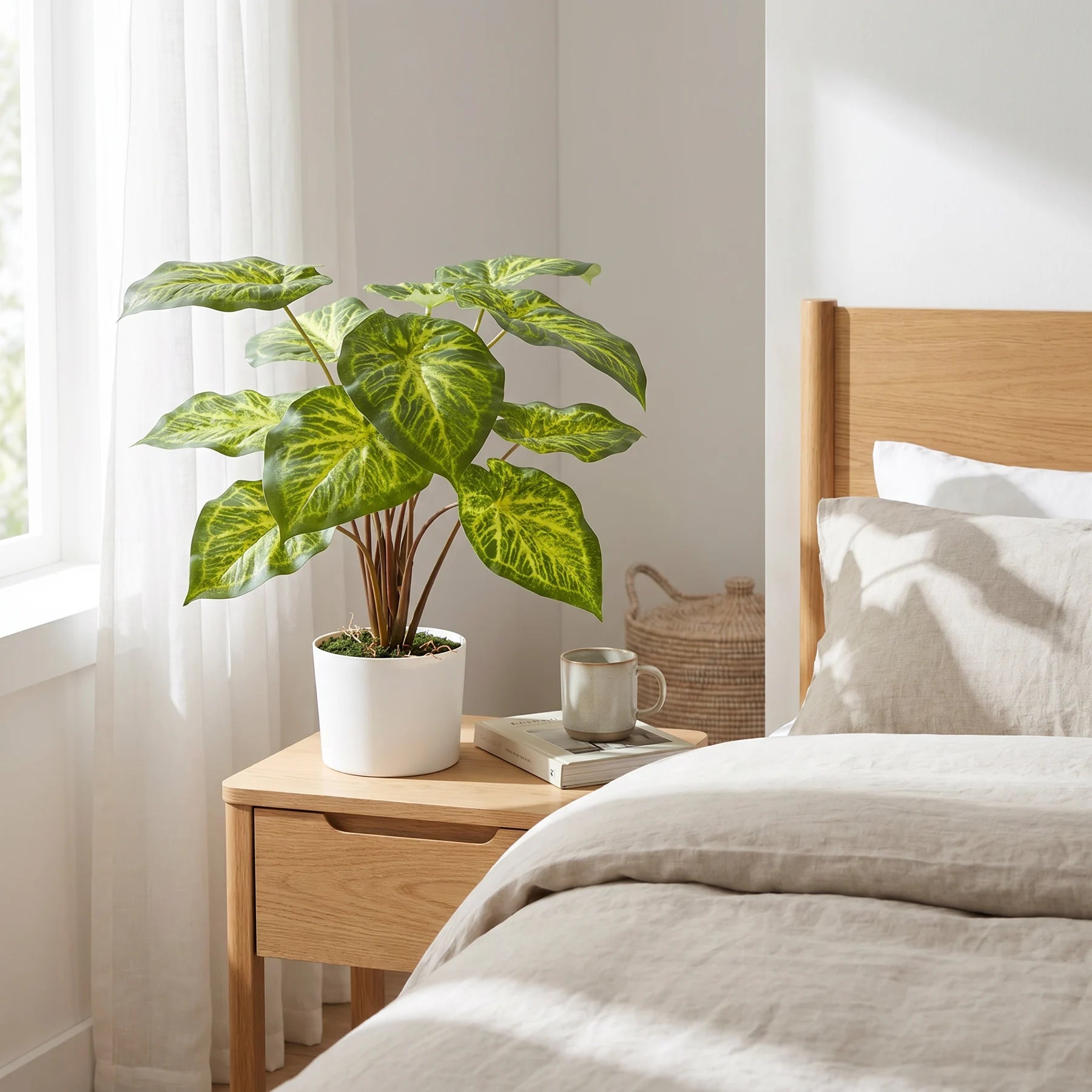 Künstliche Caladium - Lima
