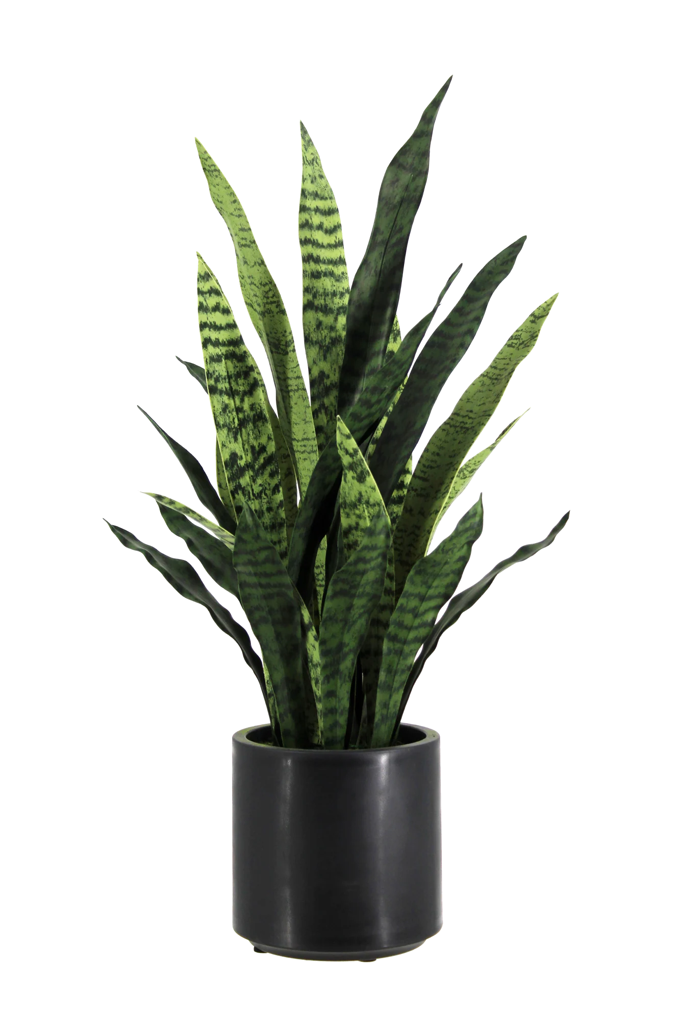Künstlicher Bogenhanf - Nero | 90 cm