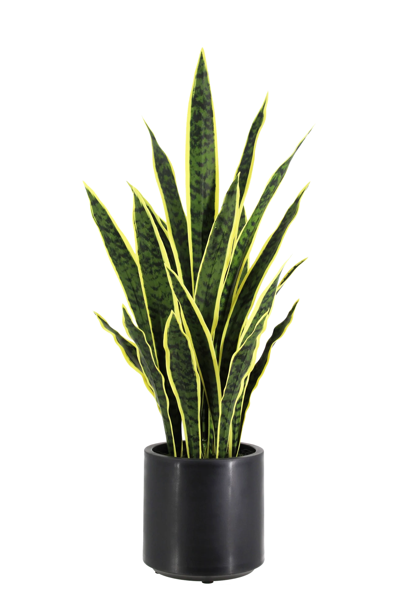 Künstlicher Bogenhanf - Juan | 90 cm