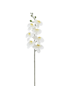Künstliche Orchidee - Chen Lu | 86 cm
