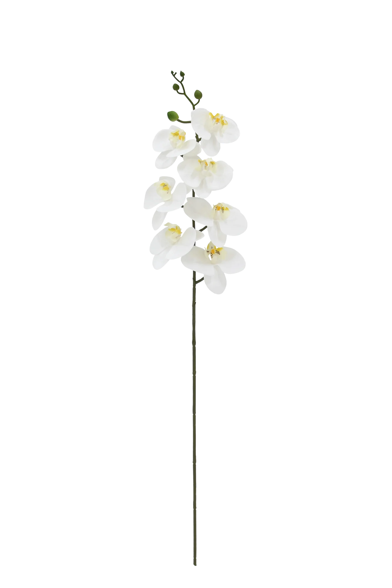 Künstliche Orchidee - Chen Lu | 86 cm
