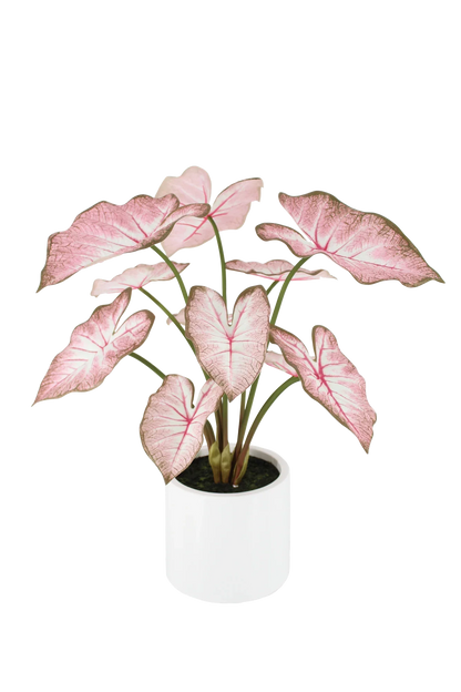 Künstliche Caladium - Mayra, 70 cm, Kunstblume von aplanta, inkl. Dekotopf, in Pink, für drinnen