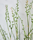 Künstliches Gras – Thadeus | 90 cm