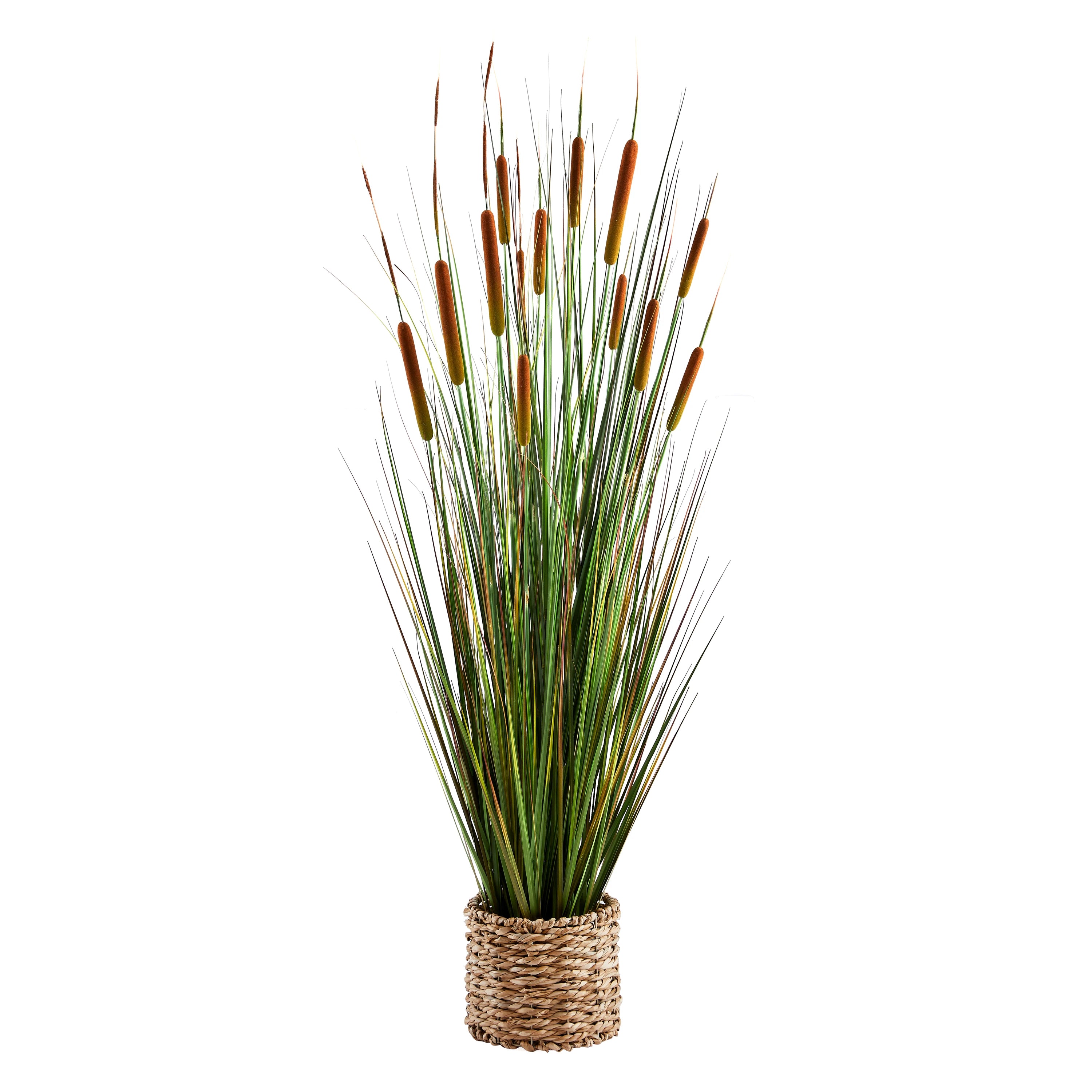 Künstlicher Rohrkolben – Emeric | 150 cm