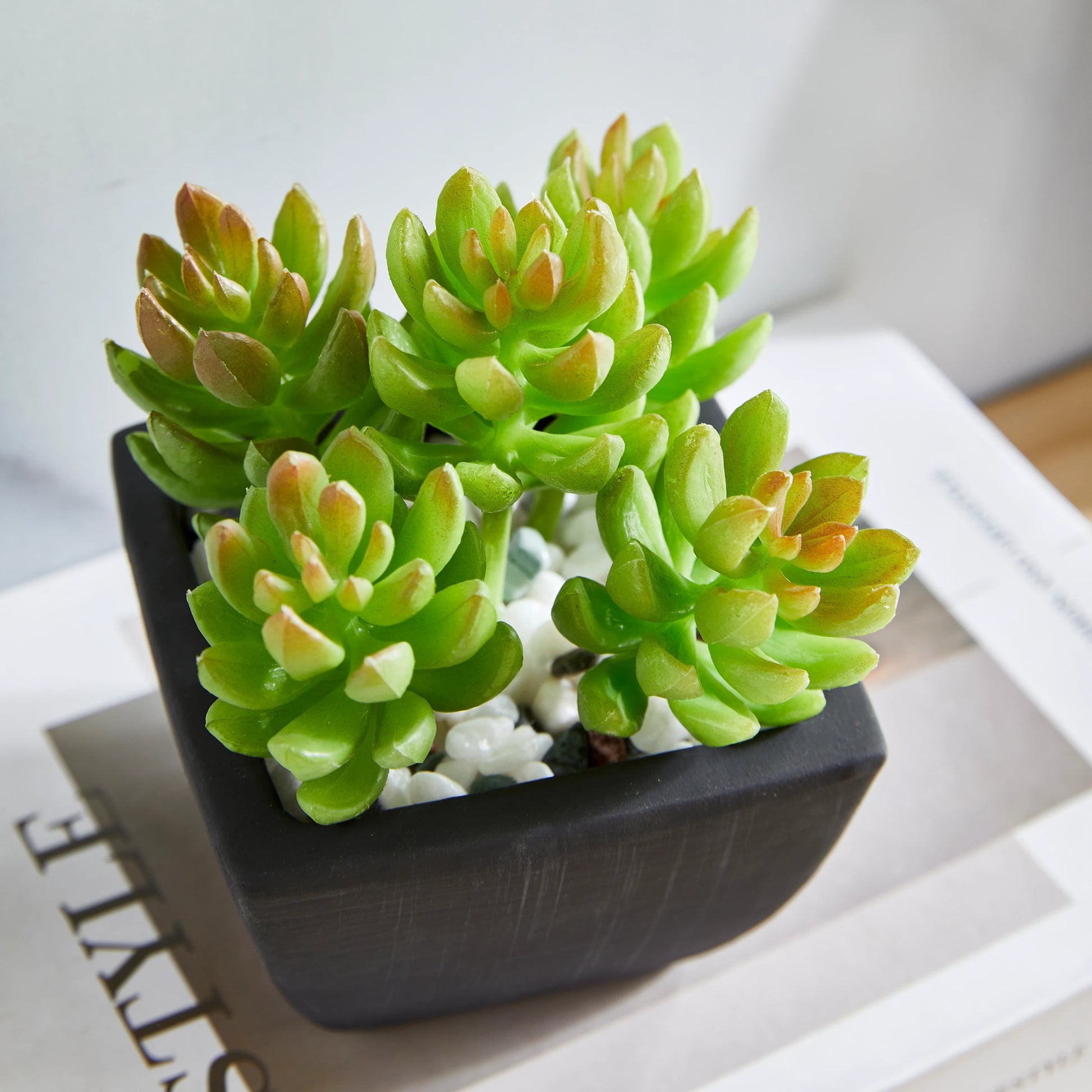 Künstliche Sukkulente - Nepomuk, 14 cm, Kunstpflanze von aplanta, in Grün, für drinnen