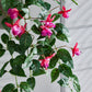 Künstlicher Hänge-Fuchsie - Ignatia, 80 cm, Kunstpflanze von aplanta, Steckpflanze, in Grün, für drinnen