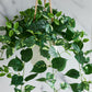 Künstlicher Hänge-Pothos - Cornelius, 80 cm, Kunstpflanze von aplanta, Steckpflanze, in Grün, für drinnen