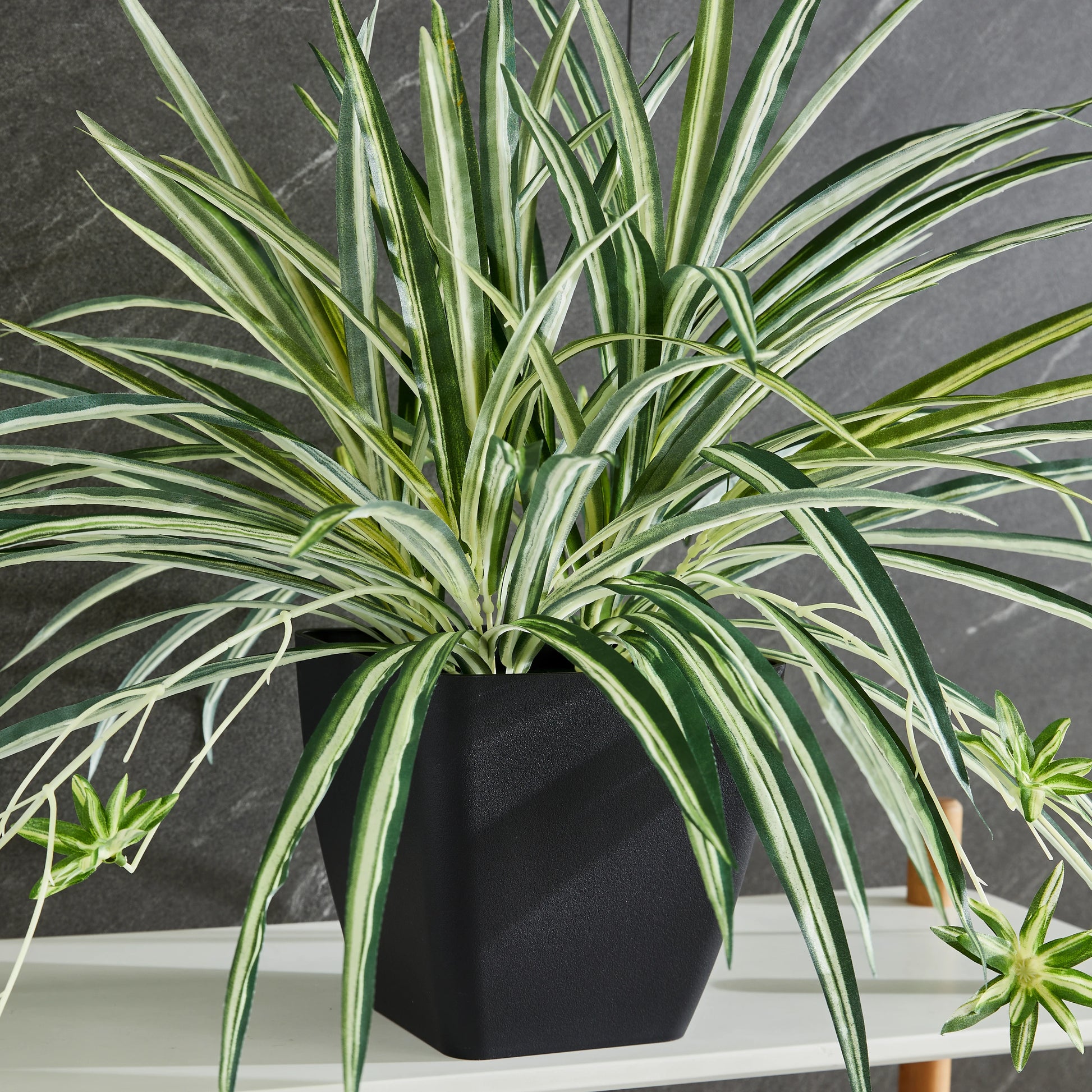 Künstliche Grünlilie - Liora, 50 cm, Kunstpflanze von aplanta, für drinnen