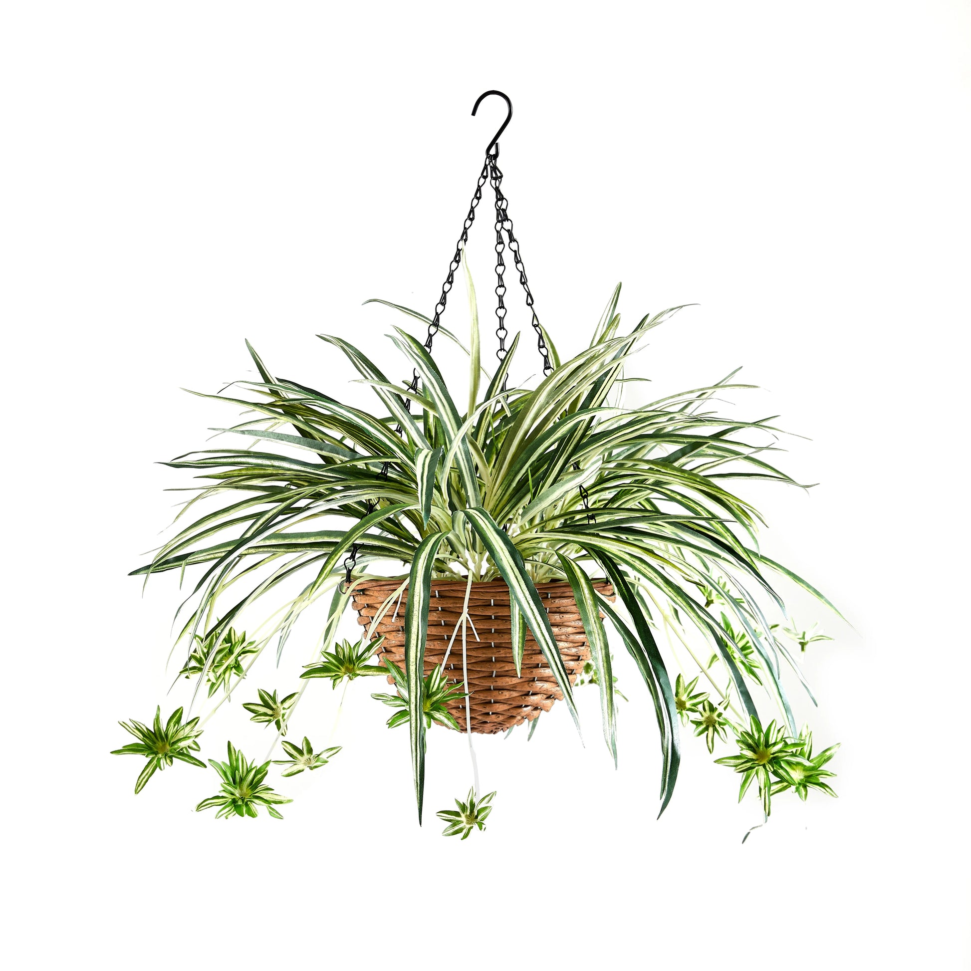 Künstliche Hänge-Grünlilie - Aurelio, 60 cm, Kunstpflanze von aplanta, für drinnen