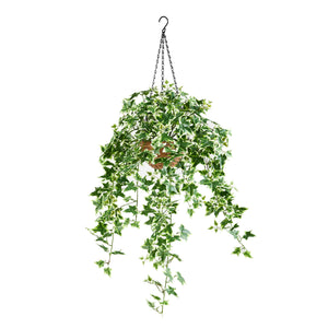 Künstlicher Hänge-Efeu – Seraphine | 100 cm