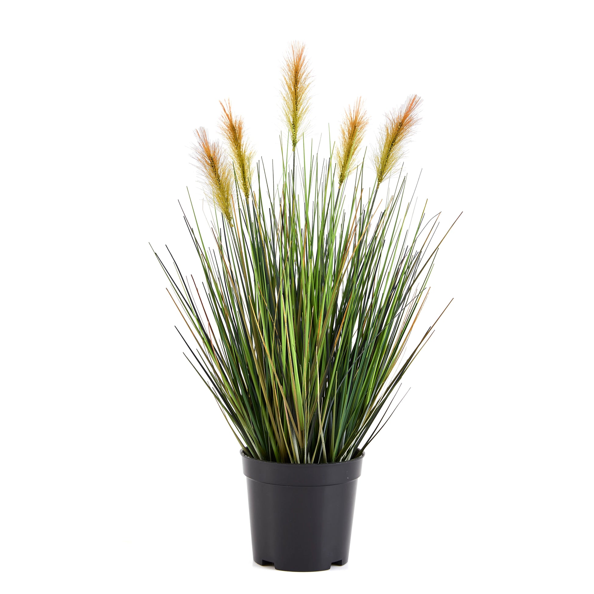 Künstliches Lampenputzergras – Orpheus | 45 cm