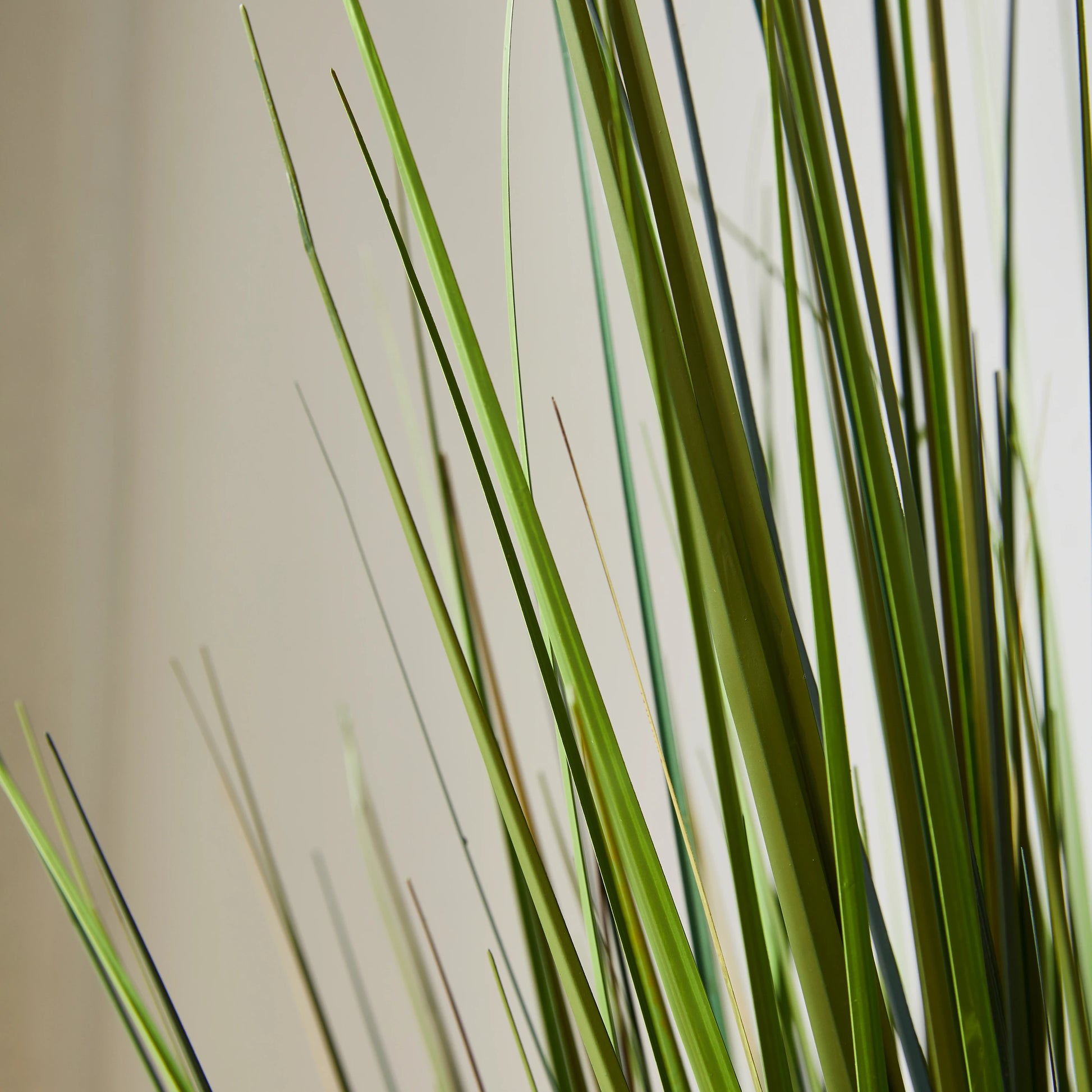 Künstliches Gras - Selwyn, 120 cm, Kunstpflanze von aplanta, in Grün, für drinnen