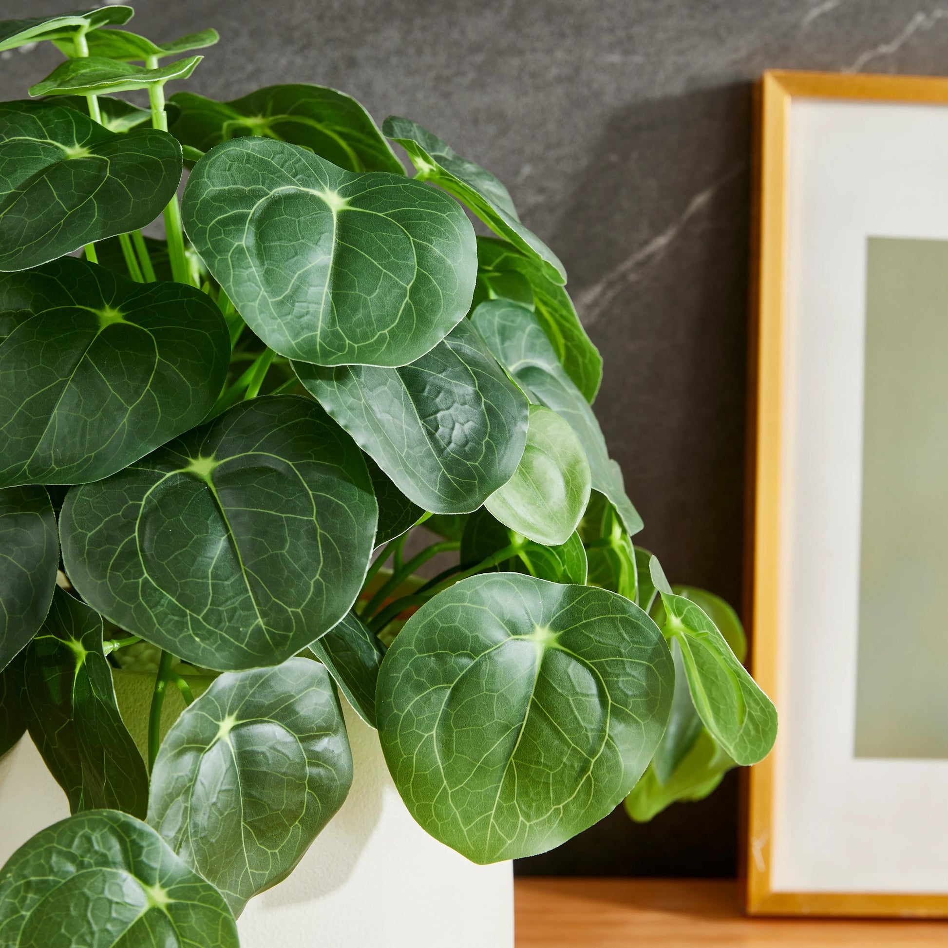 Künstlicher Geldbaum – Cassian | 39 cm