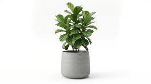 Pflanztopf Kiesel grau | 34X29