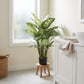 Künstliche Dieffenbachia – Calienne | 70 cm