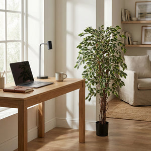 Künstlicher Ficus – Ravian | 120 cm