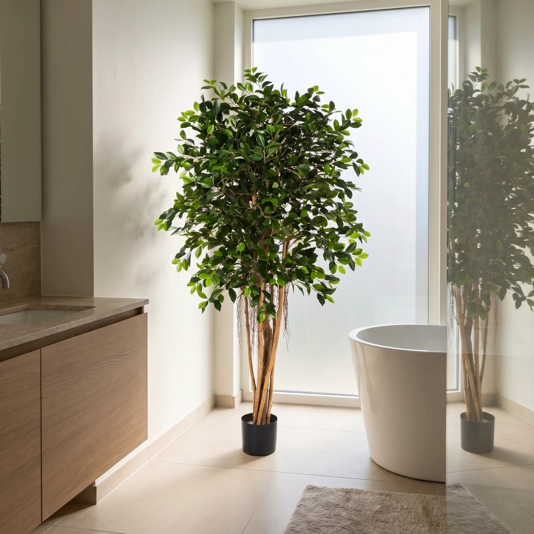 Künstlicher Ficus Retusa - Caelior, 180 cm, Kunstbaum von aplanta, mit Echtholzstamm, inkl. Startertopf, in Grün, für drinnen