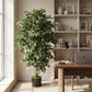 Künstlicher Ficus Retusa - Lysandros, 180 cm, Kunstbaum von aplanta, mit Echtholzstamm, inkl. Startertopf, in Natur
