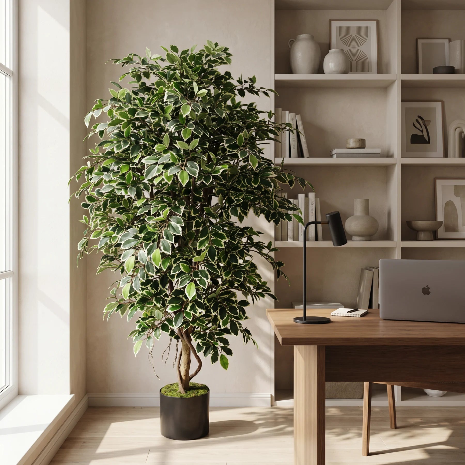 Künstlicher Ficus Retusa - Lysandros, 180 cm, Kunstbaum von aplanta, mit Echtholzstamm, inkl. Startertopf, in Natur