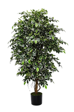 Künstlicher Ficus Retusa - Lysandros, 180 cm, Kunstbaum von aplanta, mit Echtholzstamm, inkl. Startertopf, in Natur