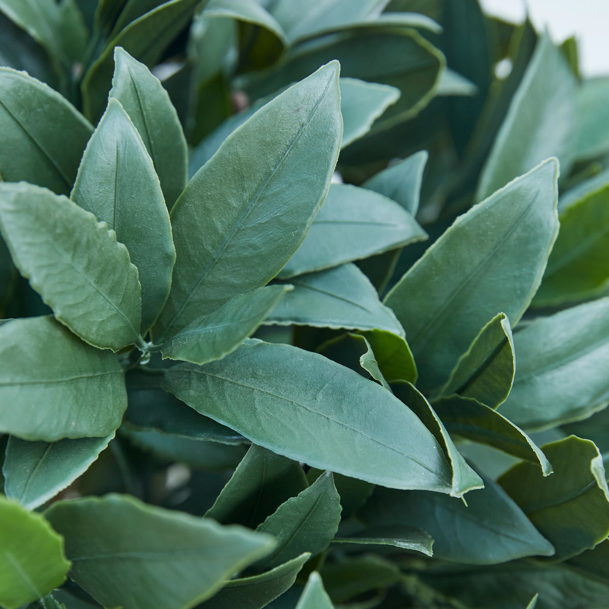 Künstlicher Lorbeerbaum – Vaelis | 75 cm