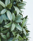 Künstlicher Lorbeerbaum – Alarion | 150 cm