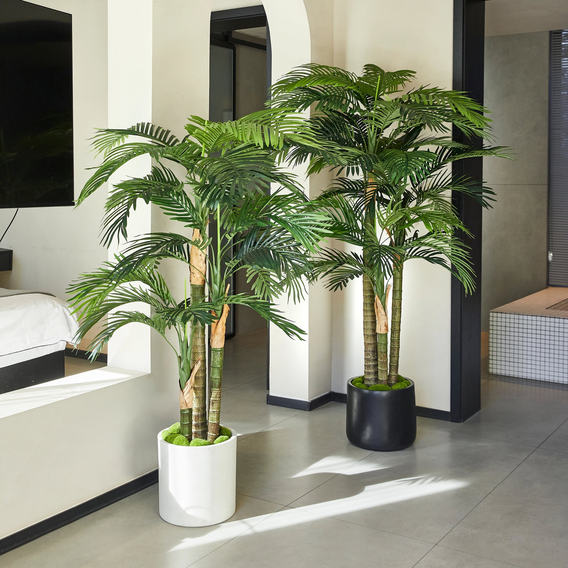 Künstliche Goldfruchtpalme – Saphira | 150 cm