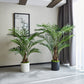 Künstliche Kentia-Palme - Caliora, 140 cm, Kunstbaum von aplanta, inkl. Startertopf, in Grün, für drinnen