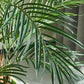 Künstliche Kentia-Palme - Caliora, 140 cm, Kunstbaum von aplanta, inkl. Startertopf, in Grün, für drinnen