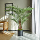 Künstliche Kentia-Palme - Caliora, 180 cm, Kunstbaum von aplanta, inkl. Startertopf, in Grün, für drinnen