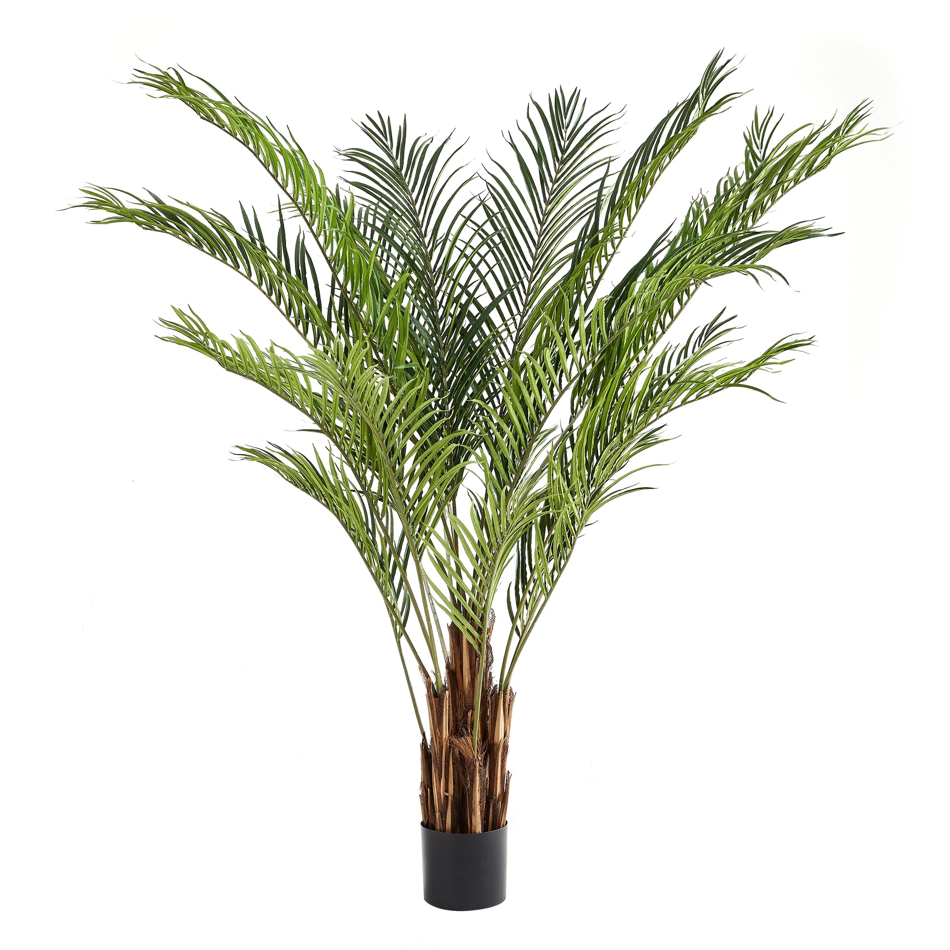 Künstliche Areca-Palme – Lysandria | 210 cm
