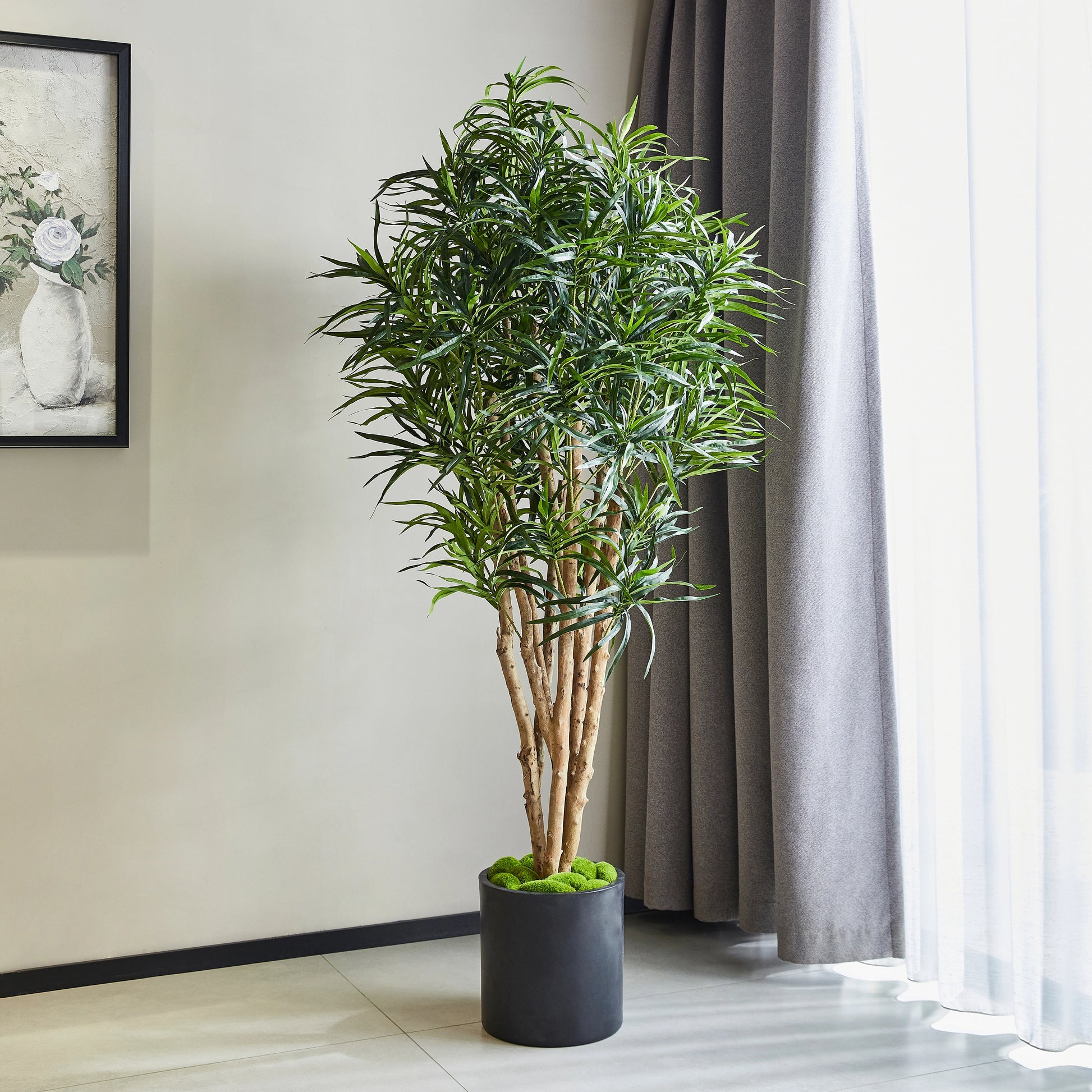 dracaena reflexa kaufen Künstliche Dracaena Reflexa – Maelis | 180 cm