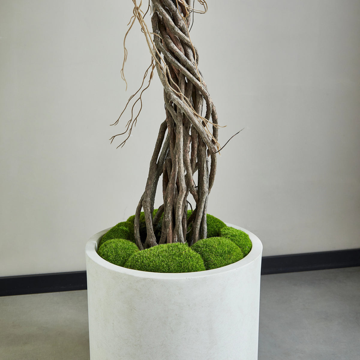 Künstlicher Ficus – Seraphius | 180 cm
