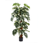 Künstlicher Split-Philodendron - Elowen, 150 cm, Kunstpflanze von aplanta, inkl. Startertopf, in Bunt, für drinnen
