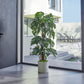Künstlicher Split-Philodendron - Elowen, 150 cm, Kunstpflanze von aplanta, inkl. Startertopf, in Bunt, für drinnen
