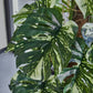Künstlicher Split-Philodendron - Elowen, 150 cm, Kunstpflanze von aplanta, inkl. Startertopf, in Bunt, für drinnen
