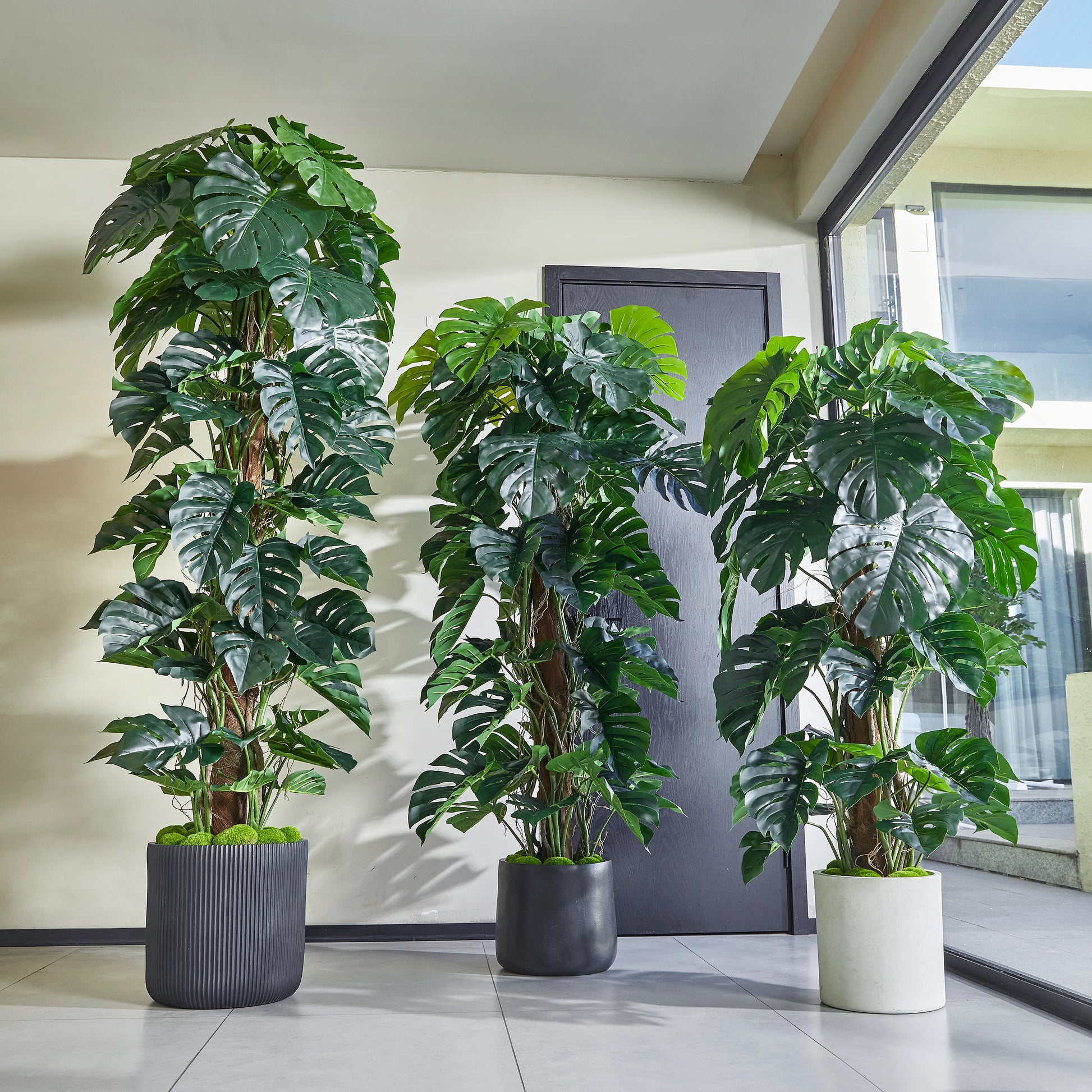 Künstlicher Split-Philodendron – Zephira | 160 cm