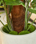 Künstlicher Split-Philodendron – Zephira | 160 cm