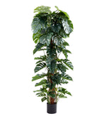Künstlicher Split-Philodendron – Zephira | 210 cm